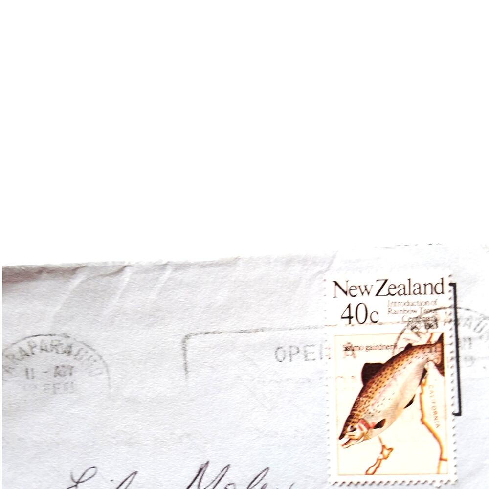 1983 New Zealand Aerogramme Cover 40c Trout Stamp Papakura Airmail Letter